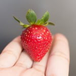 mindful-eating-strawberry